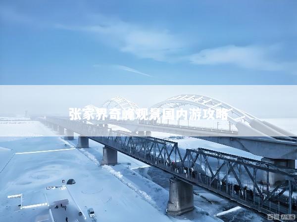 张家界奇峰观景国内游攻略