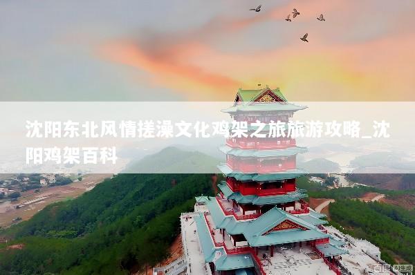 沈阳东北风情搓澡文化鸡架之旅旅游攻略_沈阳鸡架百科