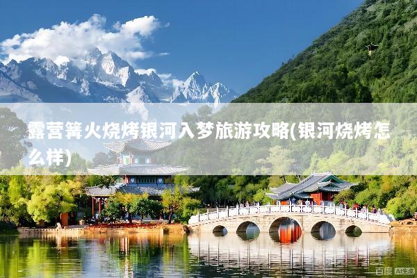 露营篝火烧烤银河入梦旅游攻略(银河烧烤怎么样)