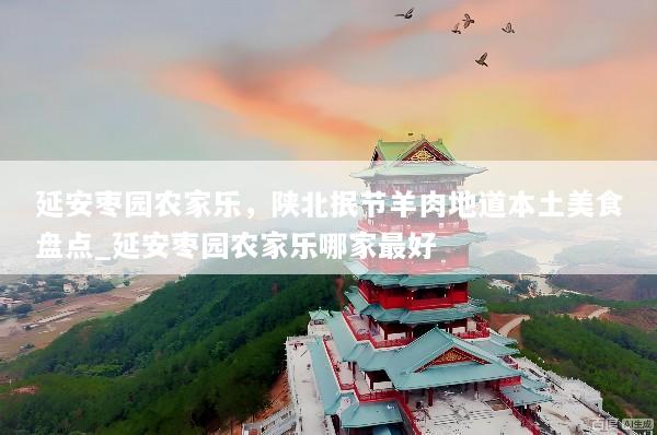 延安枣园农家乐，陕北抿节羊肉地道本土美食盘点_延安枣园农家乐哪家最好
