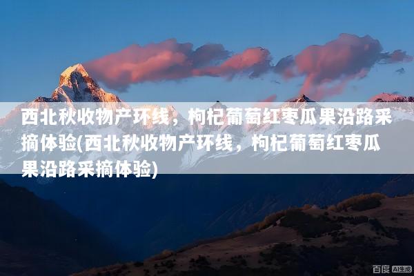 西北秋收物产环线，枸杞葡萄红枣瓜果沿路采摘体验(西北秋收物产环线，枸杞葡萄红枣瓜果沿路采摘体验)