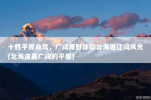 文章配图