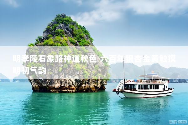 明孝陵石象路神道秋色 六百年银杏金黄触摸明初气韵