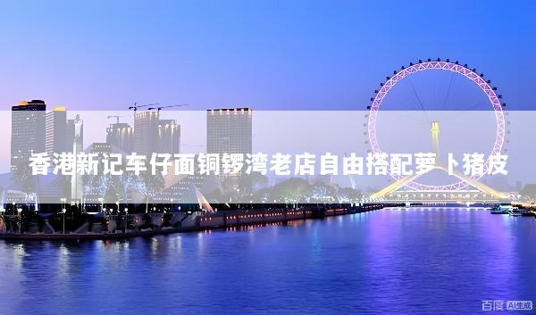 香港新记车仔面铜锣湾老店自由搭配萝卜猪皮