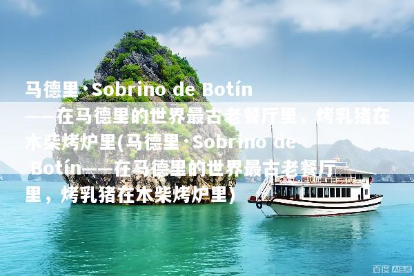 马德里·Sobrino de Botín——在马德里的世界最古老餐厅里，烤乳猪在木柴烤炉里(马德里·Sobrino de Botín——在马德里的世界最古老餐厅里，烤乳猪在木柴烤炉里)