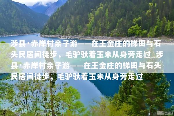 涉县·赤岸村亲子游——在王金庄的梯田与石头民居间徒步，毛驴驮着玉米从身旁走过_涉县·赤岸村亲子游——在王金庄的梯田与石头民居间徒步，毛驴驮着玉米从身旁走过