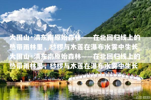 大围山·滇东南原始森林——在北回归线上的热带雨林里，桫椤与木莲在瀑布水雾中生长_大围山·滇东南原始森林——在北回归线上的热带雨林里，桫椤与木莲在瀑布水雾中生长