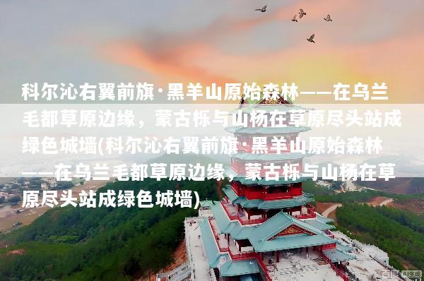 科尔沁右翼前旗·黑羊山原始森林——在乌兰毛都草原边缘，蒙古栎与山杨在草原尽头站成绿色城墙(科尔沁右翼前旗·黑羊山原始森林——在乌兰毛都草原边缘，蒙古栎与山杨在草原尽头站成绿色城墙)