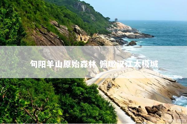 旬阳羊山原始森林 俯瞰汉江太极城
