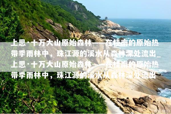 上思·十万大山原始森林——在桂南的原始热带季雨林中，珠江源的溪水从森林深处流出_上思·十万大山原始森林——在桂南的原始热带季雨林中，珠江源的溪水从森林深处流出