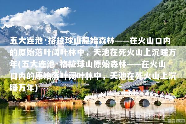 五大连池·格拉球山原始森林——在火山口内的原始落叶阔叶林中，天池在死火山上沉睡万年(五大连池·格拉球山原始森林——在火山口内的原始落叶阔叶林中，天池在死火山上沉睡万年)