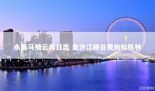 永善马楠云海日出 金沙江峡谷原始松栎林