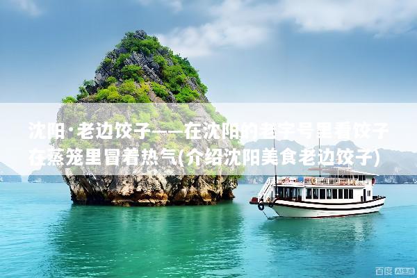 沈阳·老边饺子——在沈阳的老字号里看饺子在蒸笼里冒着热气(介绍沈阳美食老边饺子)
