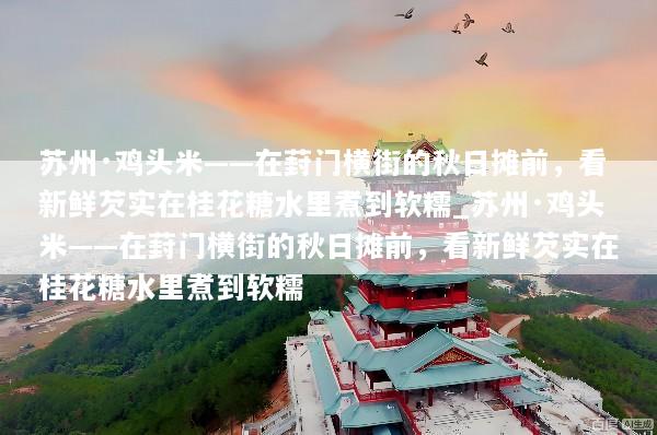 苏州·鸡头米——在葑门横街的秋日摊前，看新鲜芡实在桂花糖水里煮到软糯_苏州·鸡头米——在葑门横街的秋日摊前，看新鲜芡实在桂花糖水里煮到软糯