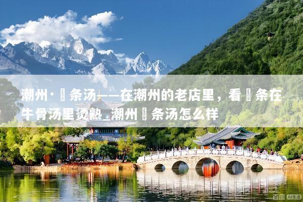 潮州·粿条汤——在潮州的老店里，看粿条在牛骨汤里烫熟_潮州粿条汤怎么样