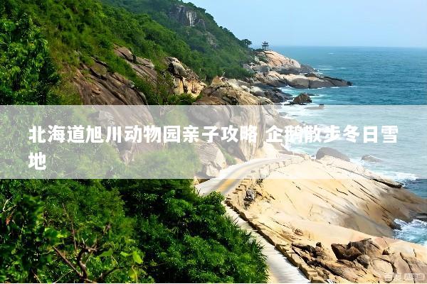 北海道旭川动物园亲子攻略 企鹅散步冬日雪地